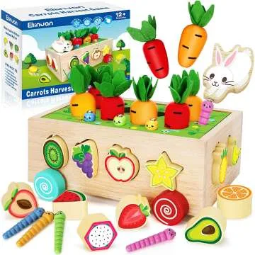 Montessori Wooden Toys for Toddlers - Shape Sorter