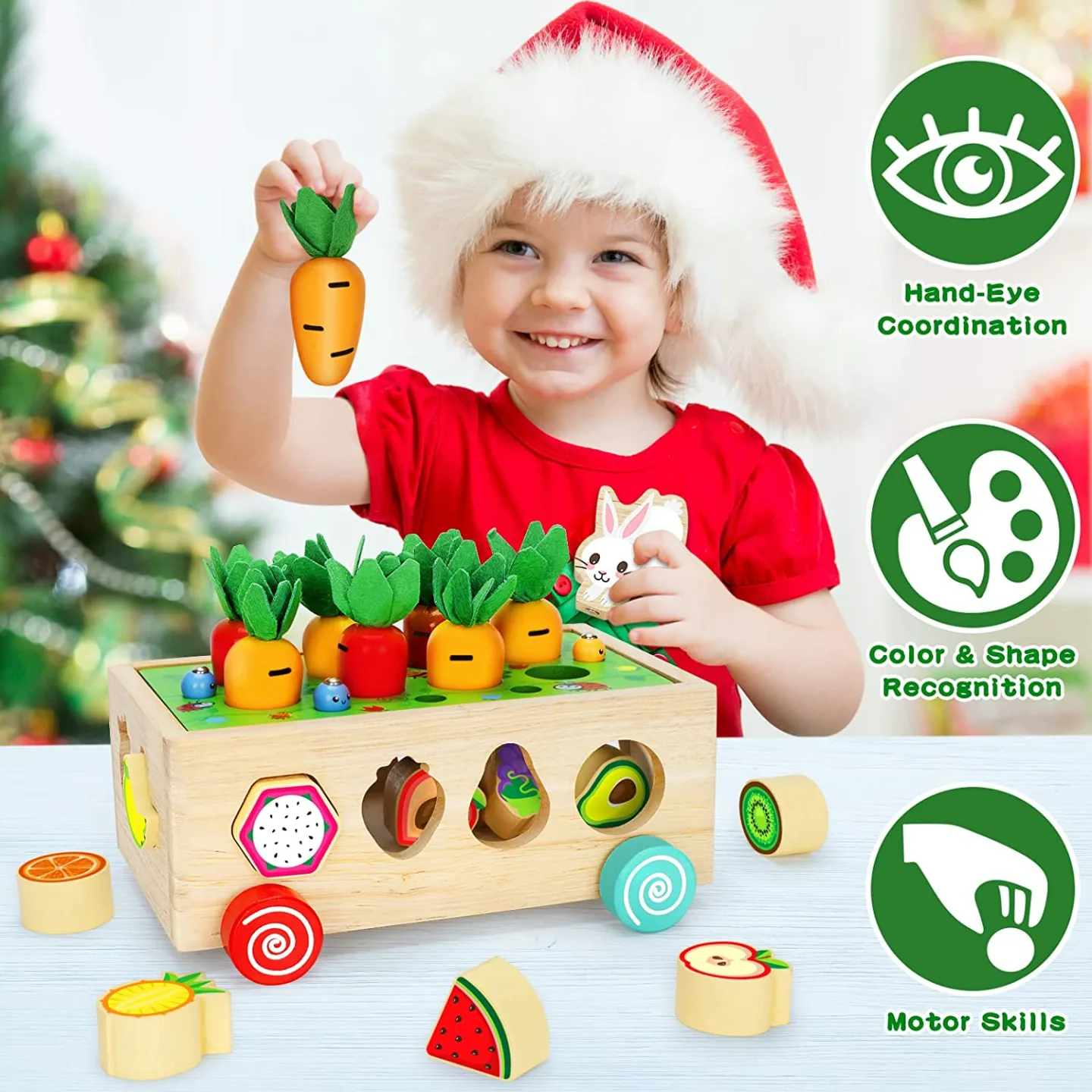 Montessori Wooden Toys for Toddlers - Shape Sorter