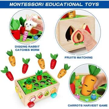 Montessori Wooden Toys for Toddlers - Shape Sorter