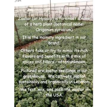 Tyme Foods Zaatar - Gourmet Zaatar Seasoning - Organic Zaatar Spice