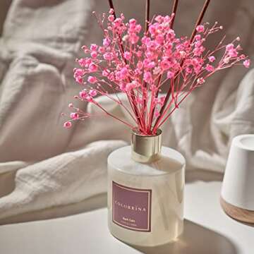 Cocorrína Reed Diffuser Set Apple Cider Scented Aroma Oil