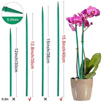 BLUE TOP Green Bamboo Plant Stakes Garden Stakes 15.8 Inch 25 PCS,Wood Stakes for Vegetables/Floral,...