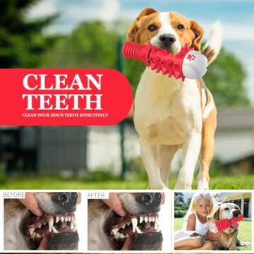 ZIKATON Durable Dog Squeaky Toy for Aggressive Chewers