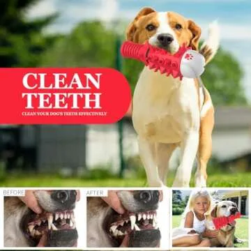ZIKATON Durable Dog Squeaky Toy for Aggressive Chewers