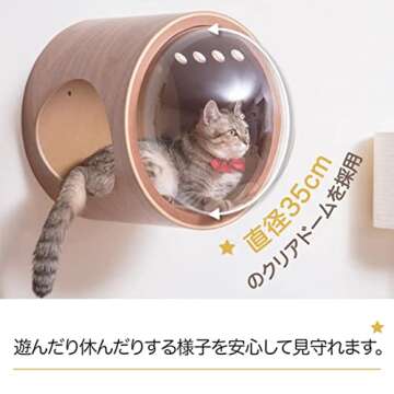 MYZOO Spaceship Gamma, Pet Bed for Cat & Dog, Window Perch, Cat Tree, Made of Wood (Walnut, Open Right)