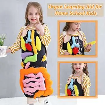 Vocheer 3D Organ Apron for Montessori Anatomy Learning