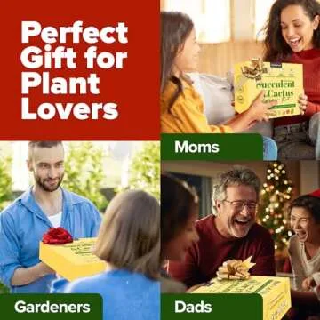 HOME GROWN Deluxe Succulent & Cactus Seed Grow Kit - Complete Indoor Cactus & Succulent Kit, Ceramic Succulent Pots, Water Drip Trays & Grow Guide