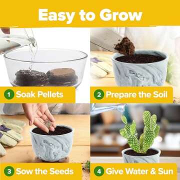 HOME GROWN Deluxe Succulent & Cactus Seed Grow Kit - Complete Indoor Cactus & Succulent Kit, Ceramic Succulent Pots, Water Drip Trays & Grow Guide