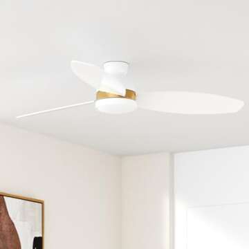 CEME 48'' Low Profile Ceiling Fan with Light, Indoor & Outdoor 10-Speed Quiet DC Motor, Smart Contro...
