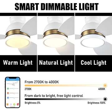 CEME 48'' Low Profile Ceiling Fan with Light, Indoor & Outdoor 10-Speed Quiet DC Motor, Smart Controlled by APP, Remote, Google Home, Alexa and Siri Shortcut, Modern