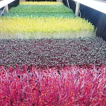 Bootstrap Farmer 1020 Microgreen Trays for Indoor Gardening