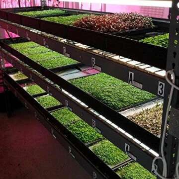 Bootstrap Farmer 1020 Microgreen Trays for Indoor Gardening