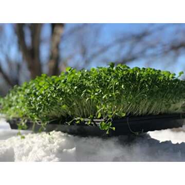 Bootstrap Farmer 1020 Microgreen Trays for Indoor Gardening