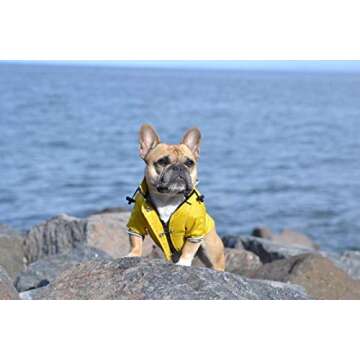 Stylish Waterproof Dog Raincoat With Reflective Features