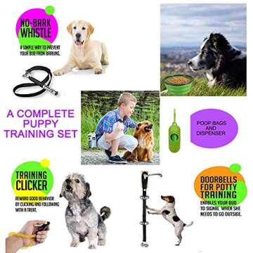 6 in 1 Dog Training Set for All Dog Owners - Grey