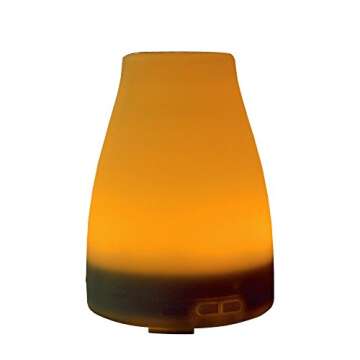 EcoGecko Aromatherapy Essential Oil Diffuser, Aroma Oil Diffuser Cool Mist Humidifier with Timer, 7 Color LED Lights, Auto Shut-Off for Home Bedroom Office