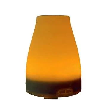 EcoGecko Aromatherapy Essential Oil Diffuser, Aroma Oil Diffuser Cool Mist Humidifier with Timer, 7 Color LED Lights, Auto Shut-Off for Home Bedroom Office