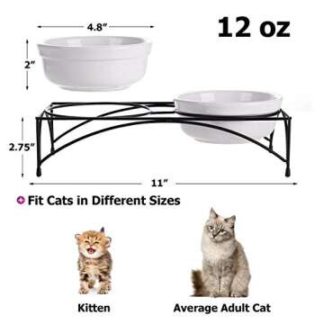 Y YHY Cat Food Bowls, Elevated Cat Bowls with Stand, Protect Cat's Spine, Raised Cat Bowls for Food ...