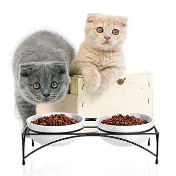 Y YHY Cat Food Bowls, Elevated Cat Bowls with Stand, Protect Cat's Spine, Raised Cat Bowls for Food and Water, Ceramic Pet Feeding Bowls, Whisker Fatigue, 12 Ounces, Dishwasher Safe