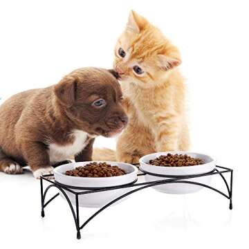 Y YHY Cat Food Bowls, Elevated Cat Bowls with Stand, Protect Cat's Spine, Raised Cat Bowls for Food and Water, Ceramic Pet Feeding Bowls, Whisker Fatigue, 12 Ounces, Dishwasher Safe