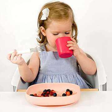 Beaba Silicone Baby Suction Plate, Non-Slip Suction Bottom - Easy to Clean, Silicone Plates for Baby, Toddler Plates, Baby Plate, Baby Essentials, Rose