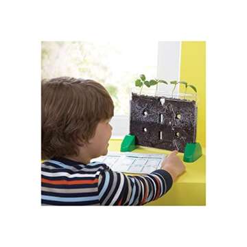Educational Insights Sprout & Grow Window Plant Growing Kit, Science Kit for Homeschool & Classrooms...
