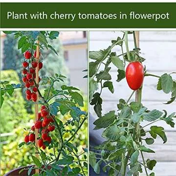 Pllieay 20 Pieces 18 inch Bamboo Stakes Natural Bamboo Sticks Bamboo Plant Stakes for Indoor and Outdoor Plants, Plant Support Stakes for Tomato Support, Beans, Potted Plants, Mini Trees