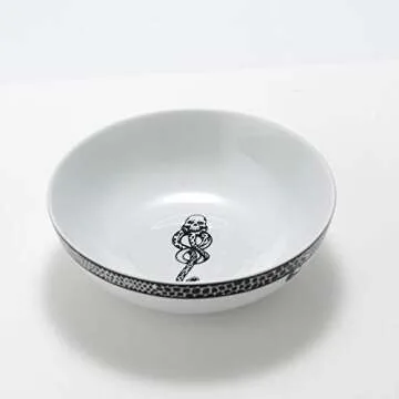 Harry Potter Voldemort Death Eater Dark Mark Porcelain 16 Piece Dinner Set, Includes Plates, Cups, and Bowls