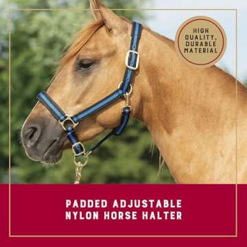 Weaver Leather Basic Adjustable Nylon Halter, Turquoise, 1" Average Horse