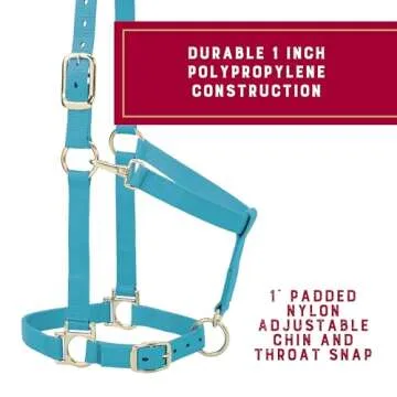Weaver Leather Basic Adjustable Nylon Halter, Turquoise, 1" Average Horse