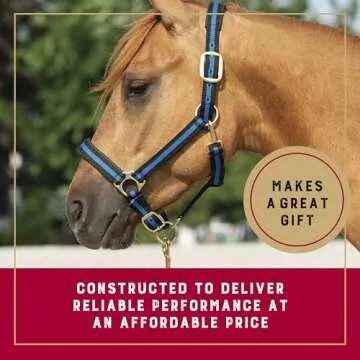 Weaver Leather Basic Adjustable Nylon Halter, Turquoise, 1" Average Horse