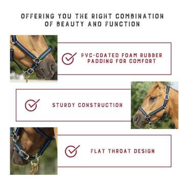 Weaver Leather Basic Adjustable Nylon Halter, Turquoise, 1" Average Horse