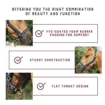 Weaver Leather Basic Adjustable Nylon Halter, Turquoise, 1" Average Horse
