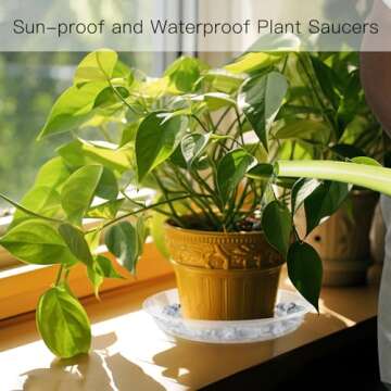 Sturdy 14 Inch Plant Saucers for Indoor and Outdoor Use