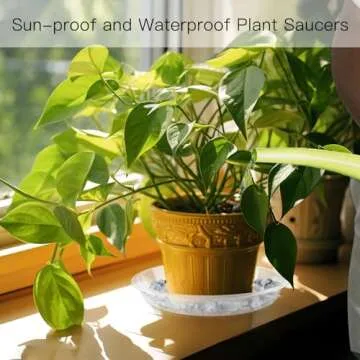 Sturdy 14 Inch Plant Saucers for Indoor and Outdoor Use