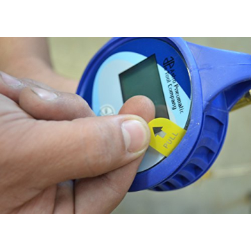 Astro Pneumatic Digital Tire Inflator with Hose