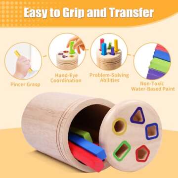 MTTIERY Montessori Wooden Stick Color Sorting Toys for 3 Year Old,Preschool Learning Activities Educational Fine Motor Matching Game,Birthday Gifts for Boys Girls