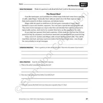 Evan-Moor Daily Reading Comprehension Workbook for 5th Grade