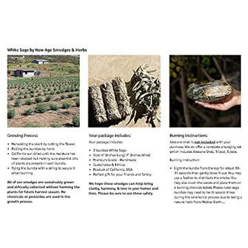 Shop New Age White Sage Bundles for Cleansing