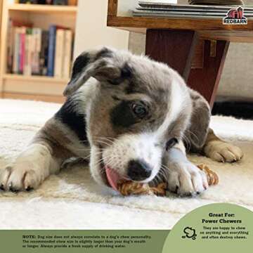 Redbarn Bully Barbells for Dogs, Pack of 10