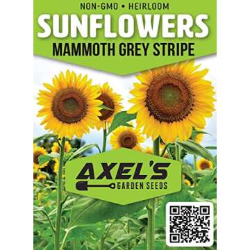 Mammoth Sunflower Seeds for Planting - Grow Giant Sun Flowers in Your Garden - 50 Non GMO Heirloom S...