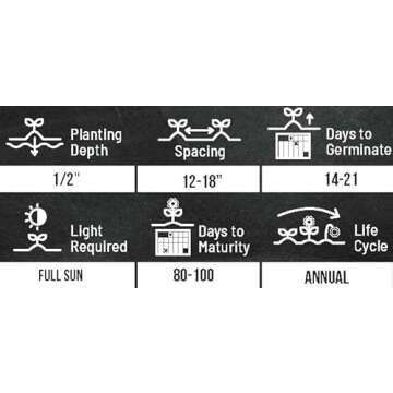 Mammoth Sunflower Seeds for Planting - Grow Giant Sun Flowers in Your Garden - 50 Non GMO Heirloom Seeds - Full Planting Instructions for Easy Grow - Great Gardening Gifts (1 Packet)