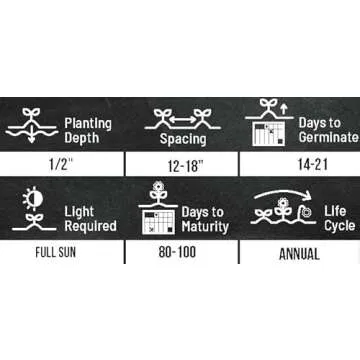 Mammoth Sunflower Seeds for Planting - Grow Giant Sun Flowers in Your Garden - 50 Non GMO Heirloom Seeds - Full Planting Instructions for Easy Grow - Great Gardening Gifts (1 Packet)