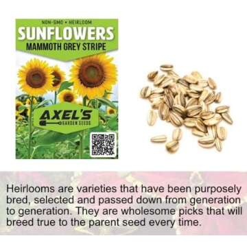 Mammoth Sunflower Seeds for Planting - Grow Giant Sun Flowers in Your Garden - 50 Non GMO Heirloom Seeds - Full Planting Instructions for Easy Grow - Great Gardening Gifts (1 Packet)