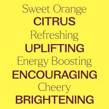 Plant Therapy Sweet Orange Organic Essential Oil 100% Pure, USDA Certified Organic, Undiluted, Natural Aromatherapy, Therapeutic Grade 10 mL (1/3 oz)