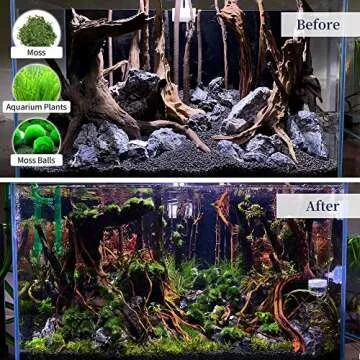 majoywoo Natural Large Coral Driftwood for Aquarium Decor Reptile Decor, Assorted Driftwood Branch 9-14" 2 Pcs, Fish Tank Decoration…