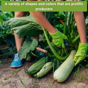 Sow Right Seeds - Zucchini Squash Seed Collection for Planting - Black Beauty, Grey, Round, Golden, and Cocozelle - Non-GMO Heirloom Packet to Plant a Vegetable Garden - Productive Summer Squash