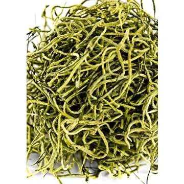 SuperMoss Preserved Spanish Moss for Floral & Crafts
