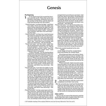 NIV Value Outreach Bible for Easy Sharing and Travel