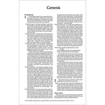 NIV Value Outreach Bible for Easy Sharing and Travel